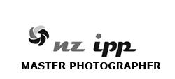 nzipp